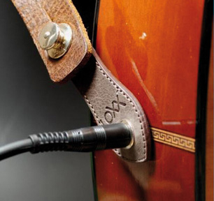 Security Locks Loxx Acoustic Adapter F