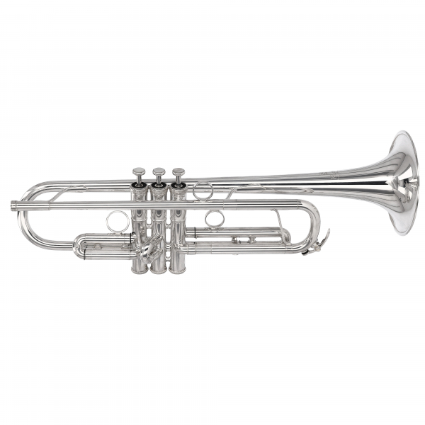 B-Trompete YAMAHA YTR-8330 EMS Gebrauchtinstrument