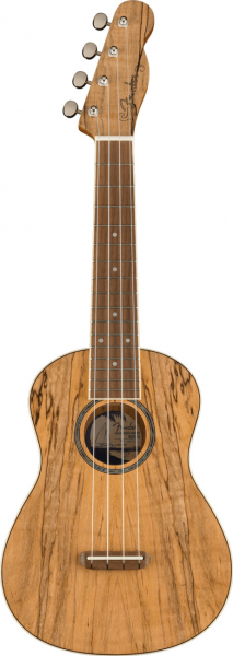 Konzert Ukulele Fender Zuma Exotic Spalted Maple