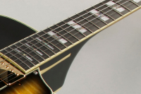 Vorschau: E-Gitarre Ibanez Vorschau: E-Gitarre Ibanez LGB30-VYS George Benson