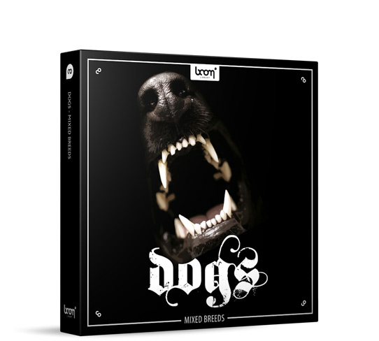 Sound Library (Download) Boom Dogs