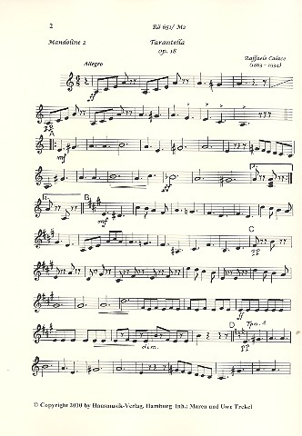 Tarantella op.18 für Zupforchester