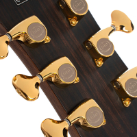 Vorschau: Westerngitarre Cort Vorschau: Westerngitarre Cort Modern Black