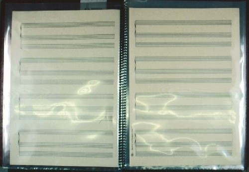 Notenmappe mit Klarsichttaschen Quart-Format 29,5 x 36 cm 20 Taschen,Schwarz