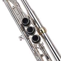 Vorschau: B-Trompete Stomvi Master Vorschau: B-Trompete Stomvi Master 5381 Gebrauchtinstrument