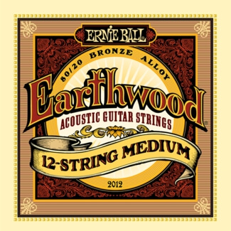 Saitensatz Ernie Ball EB2012 Earthwood 12-String Medium