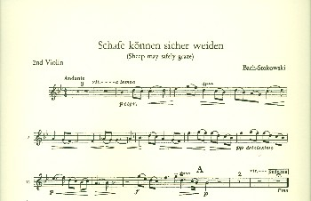 Schafe können sicher weiden BWV208 für Orchester