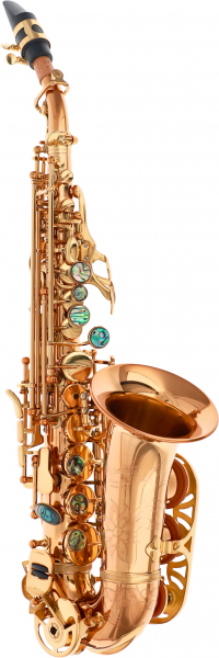 B-Sopran-Saxophon Paul Mauriat PMSS-2400 GL