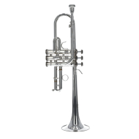 Vorschau: Es/D-Trompete Stomvi Vorschau: Es/D-Trompete Stomvi Titan 5521