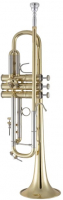 Vorschau: B-Trompete Bach Vorschau: B-Trompete Bach Stradivarius 180-43R