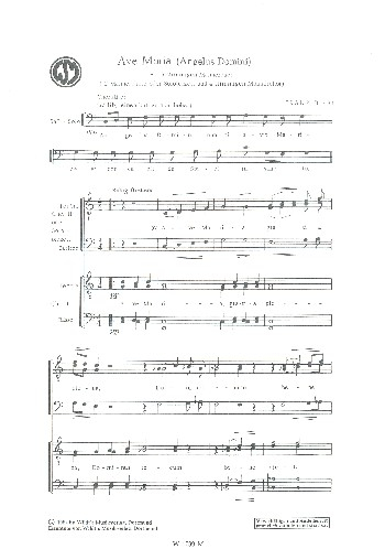 Ave Maria für Männerchor a cappella