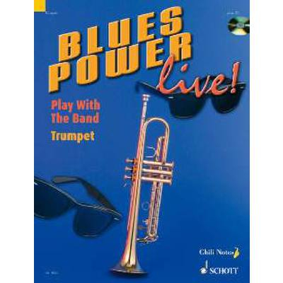 Blues Power live - Play with the Band