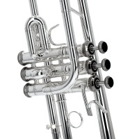 Vorschau: Es/D-Trompete Stomvi Vorschau: Es/D-Trompete Stomvi Titan 5521