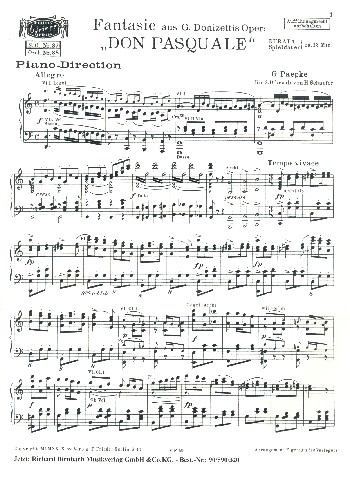 Fantasie aus Donizettis Don Pasquale: für Salonorchester