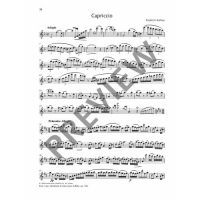 Vorschau: Spielband für Querflöte Vorschau: Spielband für Querflöte Best of Flute Solos - 30 Famous Pieces