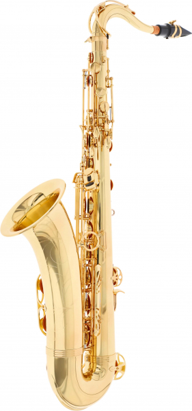 B-Tenor-Saxophon Yanagisawa T-WO1 Professional