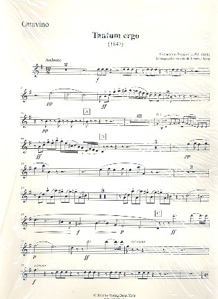 Tantum ergo für 2 Tenöre, Bass und Orchester