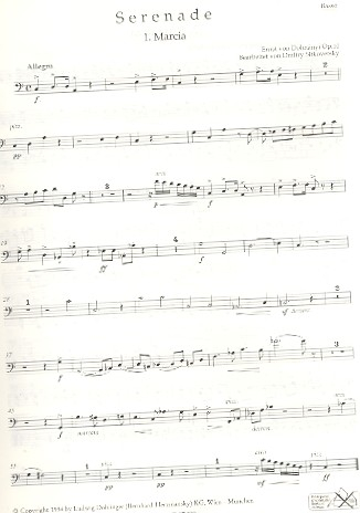 Serenade C-Dur op.10 für Streichorchester