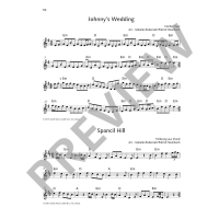 Vorschau: Solo-Spielbuch The Irish Vorschau: Solo-Spielbuch The Irish Flute Book
