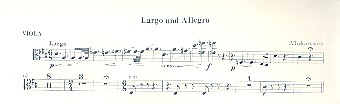 Largo und Allegro für Flöte und Streicher