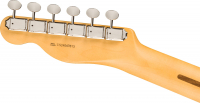 Vorschau: E- Gitarre Fender Vorschau: E- Gitarre Fender American Pro Classic Tele RW 3TS