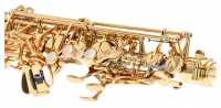 Vorschau: Es-Alt-Saxophon Vorschau: Es-Alt-Saxophon Yanagisawa A-WO35 Elite