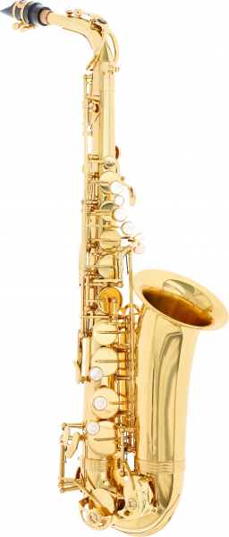 Es-Alt-Saxophon Trevor James Alphasax 371A
