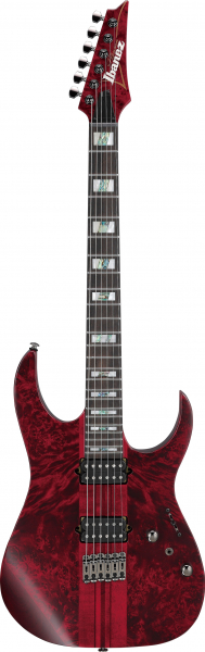 E-Gitarre Ibanez Premium RGT1221PB-SWL