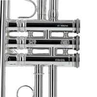 Vorschau: Es/D-Trompete Stomvi Vorschau: Es/D-Trompete Stomvi Titan 5521