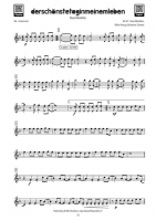 Vorschau: Spielband in Bb Playalong Vorschau: Spielband in Bb Playalong Band 5 - Fäaschtbänkler