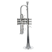 Vorschau: Es/D-Trompete Stomvi Vorschau: Es/D-Trompete Stomvi Titan 5521