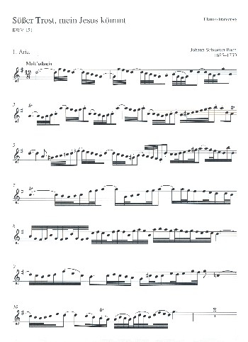 Süßer Trost, mein Jesus kömmt Kantate Nr.151 BWV151