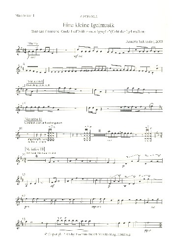 Eine kleine Igelmusik über das finnische Kinderlied Siili menee lypsyl für Zupforchester