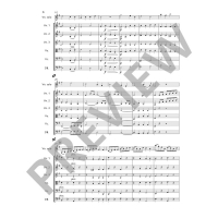 Vorschau: Spielbuch für Violine Vorschau: Spielbuch für Violine Concertino G-Dur op.11