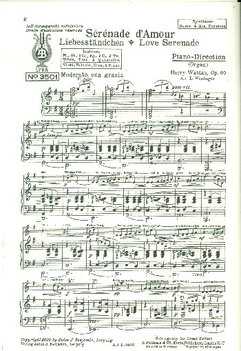 Serenade d&#039;amour op.60: für Salonorchester