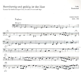 Barmherzig und gnädig ist der Herr für gem Chor, Streicher und Orgel