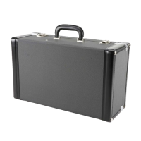 Vorschau: Koffer für B-Flügelhorn Vorschau: Koffer für B-Flügelhorn Winter JW 772 N