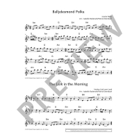 Vorschau: Solo-Spielbuch The Irish Vorschau: Solo-Spielbuch The Irish Flute Book