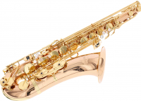 Vorschau: B-Tenor-Saxophon Vorschau: B-Tenor-Saxophon Yanagisawa T-WO20 Elite