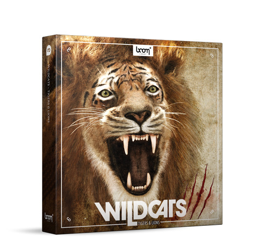 Sound Library (Download) Boom Wildcats