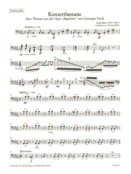 Konzertfantasie über Themen aus der Oper "Rigoletto" für Streichorchester und Klarinette