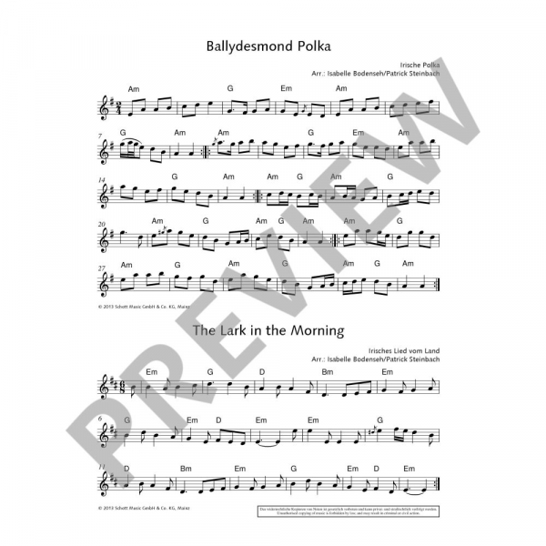 Solo-Spielbuch The Irish Flute Book