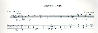 Largo und Allegro für Flöte und Streicher