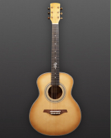 Westerngitarre You's Guitars Birdy