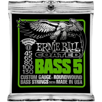 Saitensatz Ernie Ball EB3836 Regular Slinky Coated 5-String