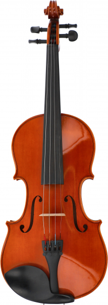Violine Schülerinstrument 4/4 - Mietbestand