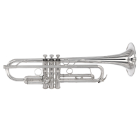 Vorschau: B-Trompete YAMAHA Vorschau: B-Trompete YAMAHA YTR-8330 EMS Gebrauchtinstrument