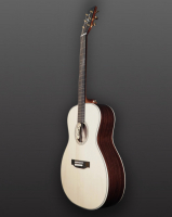 Vorschau: Westerngitarre Vorschau: Westerngitarre You's Guitars GA25E Pa Story Series