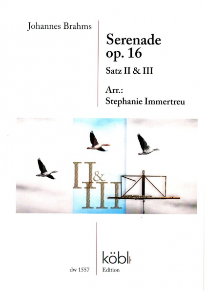 Serenade op.16 - 2. und 3. Satz für 8 Flöten, 2 Altflöten, 2 Bassflöten und Kontrabass ad lib