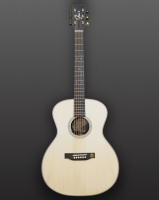 Vorschau: Westerngitarre Vorschau: Westerngitarre You's Guitars GA25E Pa Story Series